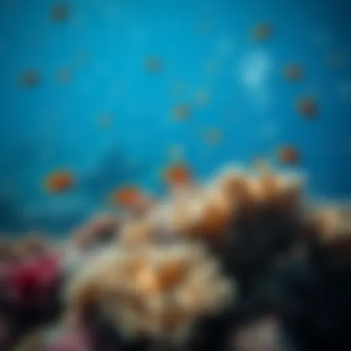 The Richness of Coral Ecosystems A vibrant coral reef teeming with diverse marine life