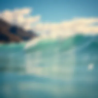 Exploring the Dynamics of Surf Lakes: An In-Depth Analysis Summary Exploring the Dynamics of Surf Lakes: An In-Depth Analysis Summary