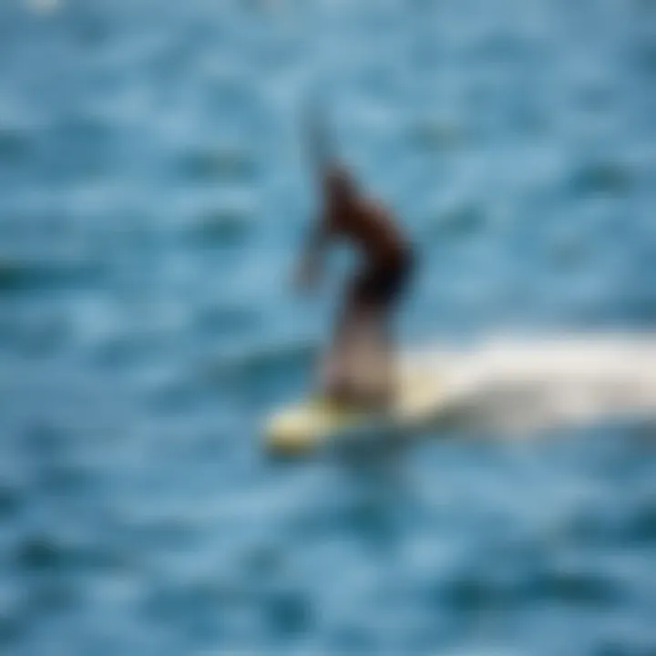 Foil Board in Action Foil board in action on the water, demonstrating its functionality