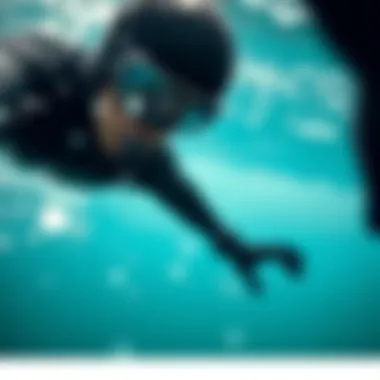 Exploring the Most Durable Wetsuits: A Comprehensive Guide Summary Exploring the Most Durable Wetsuits: A Comprehensive Guide Summary