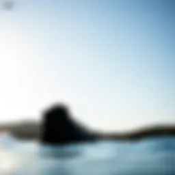 Stylish design of the Reef Cushion Vista Hi Black showcasing its sleek silhouette