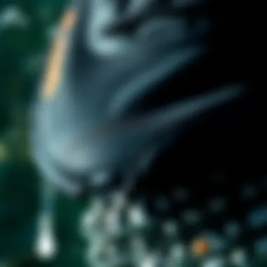 Material and Texture of Roxy Bayshore III Black Close-up of the Roxy Bayshore III Black material and texture