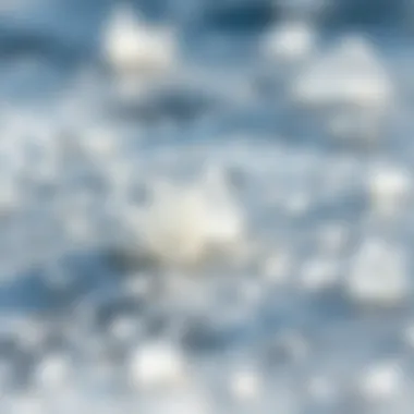 Close-up of salt crystals formed on the ocean's surface during evaporation.