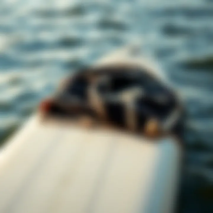 Billabong changing towel draped over surfboard by the water