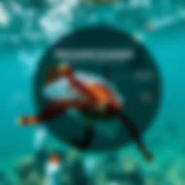 The Plastic Plague: Effects on Marine Life Infographic showing effects of plastic pollution in oceans