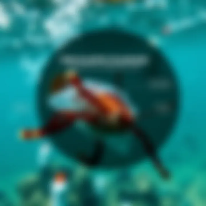 The Plastic Plague: Effects on Marine Life Infographic showing effects of plastic pollution in oceans