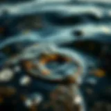 Impact of Oil Pollution on Aquatic Ecosystems Close-up of polluted water with oil slick