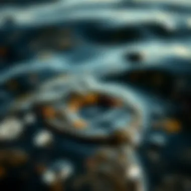 Impact of Oil Pollution on Aquatic Ecosystems Close-up of polluted water with oil slick