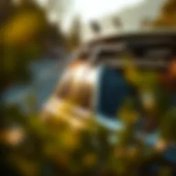 Exploring the Versatility of Block Surf Roof Racks Introduction