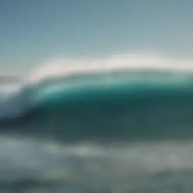 Group of surfers with Wavestorms enjoying the ocean