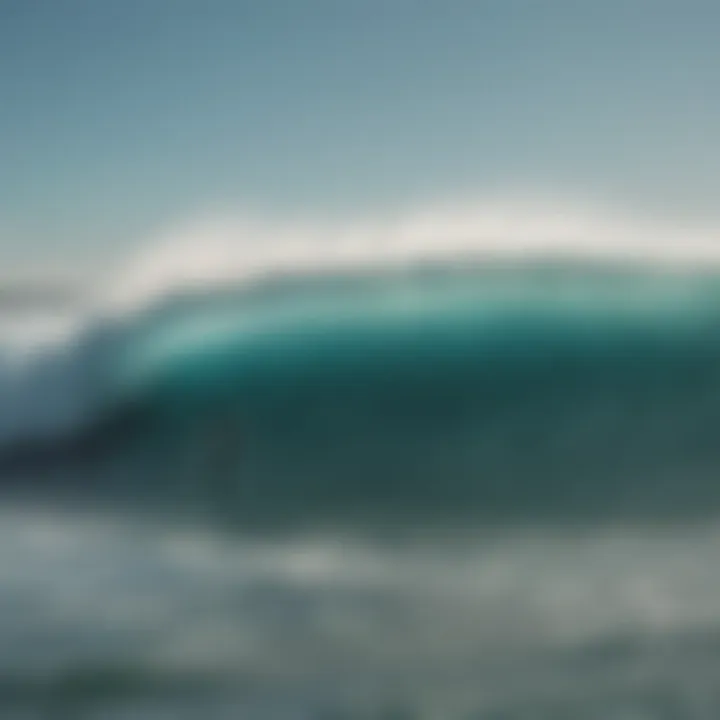 Group of surfers with Wavestorms enjoying the ocean