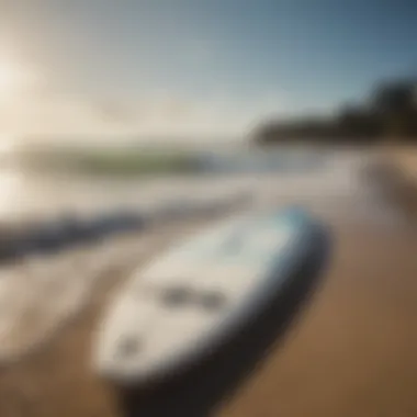 Wavestorm surfboard on a sunny beach