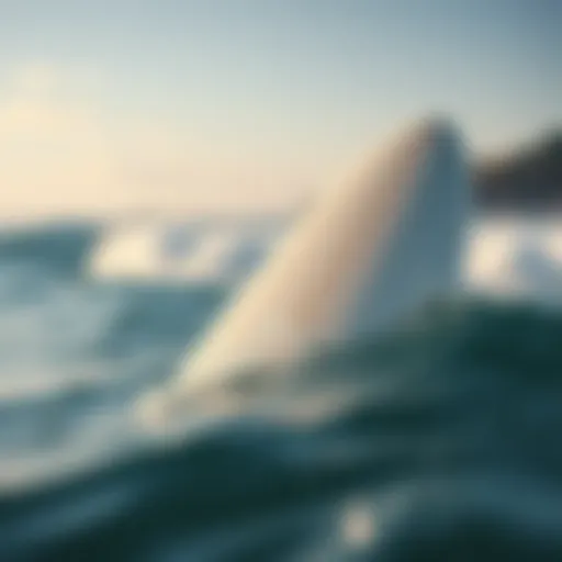 Surfboard collection showcasing innovations