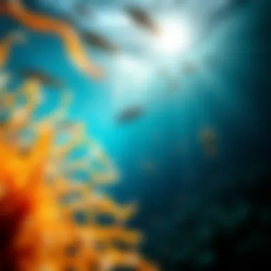 A vibrant underwater scene showcasing diverse marine life
