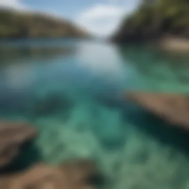 A tranquil view of the calm waters of Waimea Bay, perfect for snorkeling.