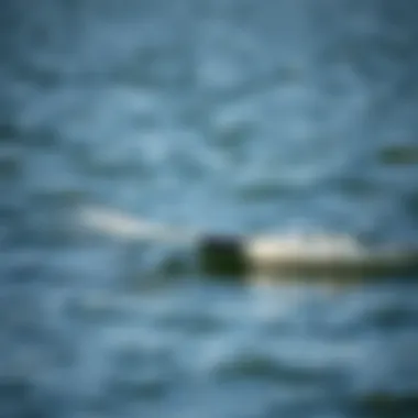 The Art of Foil Surfing A sleek foil surfboard gliding above the water's surface