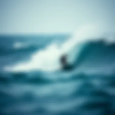 Notable Harnessing Wave Power: The Future of Renewable Energy