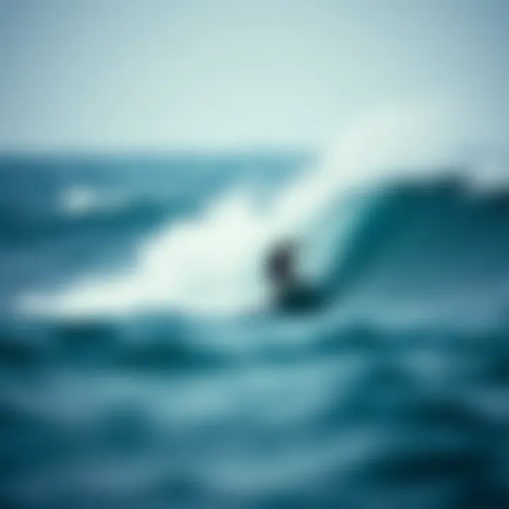 Notable Harnessing Wave Power: The Future of Renewable Energy