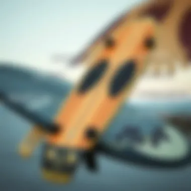 Key Design Features of Longboards Illustration of various longboard design features