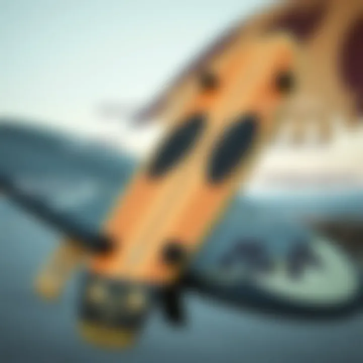 Key Design Features of Longboards Illustration of various longboard design features