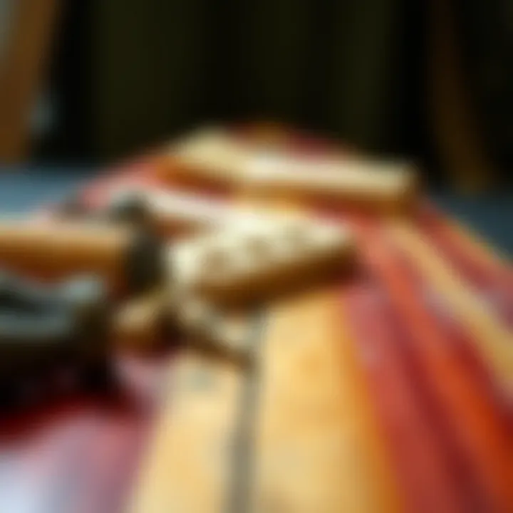 Understanding Longboard Materials Materials used in longboard construction shown in detail