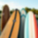 Different types of longboards displayed for comparison