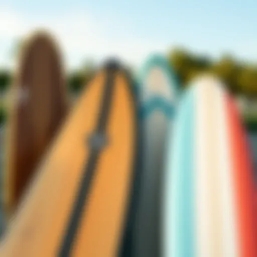 Different types of longboards displayed for comparison