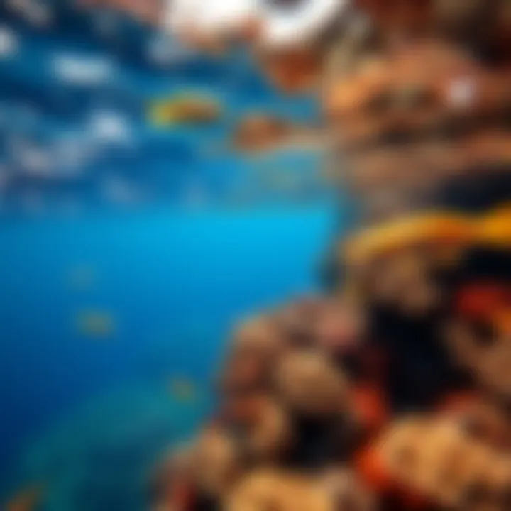 Underwater view showcasing colorful coral reefs and marine life