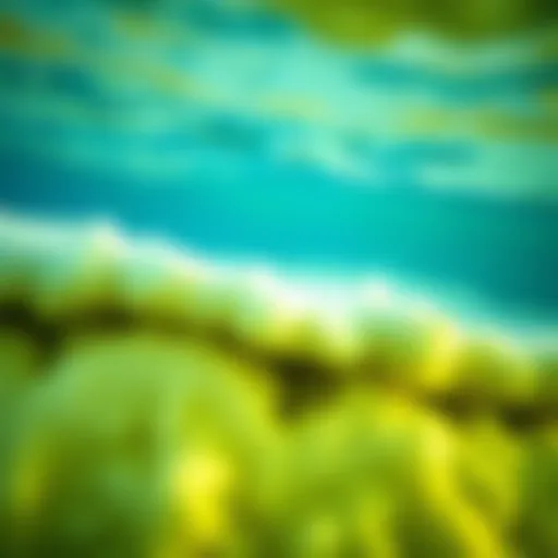 Salinity Layers in Ocean Water Close-up view of ocean water revealing salinity layers