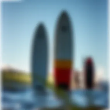 Comparison of different models in the Liquid Shredder series