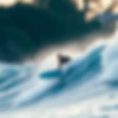 Liquid Shredder surfboard in action on the waves