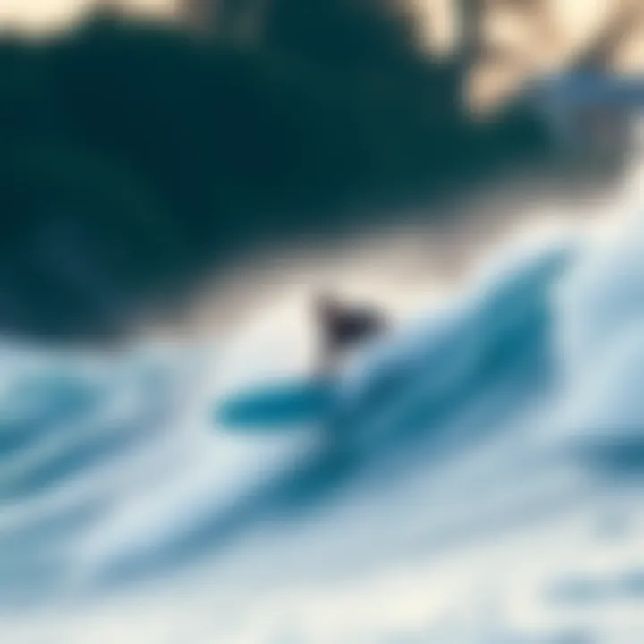 Liquid Shredder surfboard in action on the waves