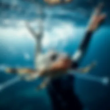 Threats to Marine Ecosystems from Plastic Straws Marine life affected by plastic waste