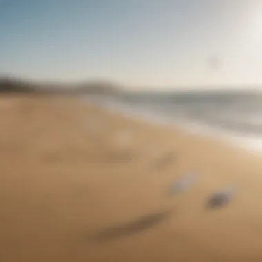 An array of light wind kites displayed on a sandy beach