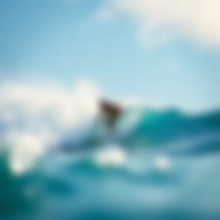 Surfer Riding the Waves A surfer in action riding a wave, demonstrating the performance of a well-chosen surfboard.