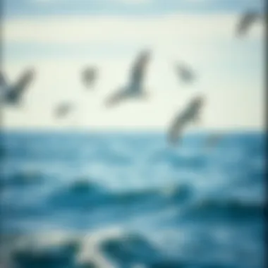 Seagulls soaring over the ocean