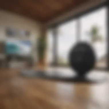Essential Home Workout Equipment for Surfing Home workout equipment for enhancing surfing skills