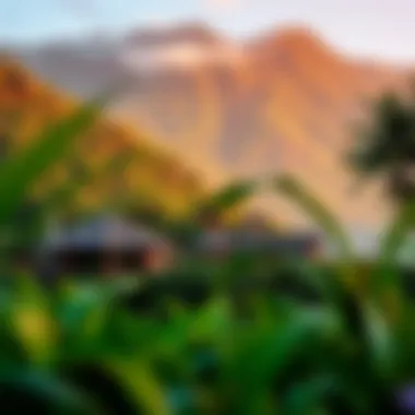 Nature's Embrace Around Pelicano Surf Camp A lush landscape surrounding the camp, highlighting its connection to nature