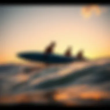 Surfers Embracing the Sunset Waves Surfers catching waves with beautiful sunset in the background