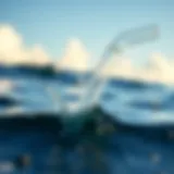 Plastic straws contributing to ocean pollution