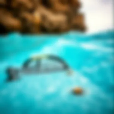Reef One Flip Flops: A Comprehensive Review Introduction Reef One Flip Flops: A Comprehensive Review Introduction