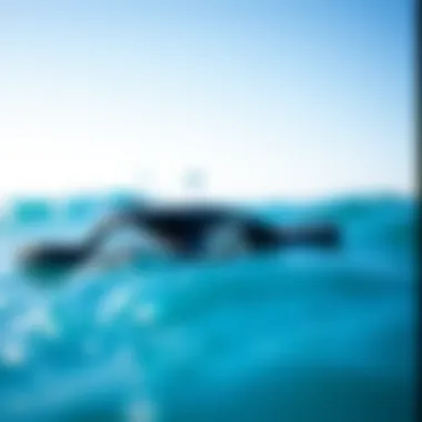 Reef One Flip Flops: A Comprehensive Review Summary