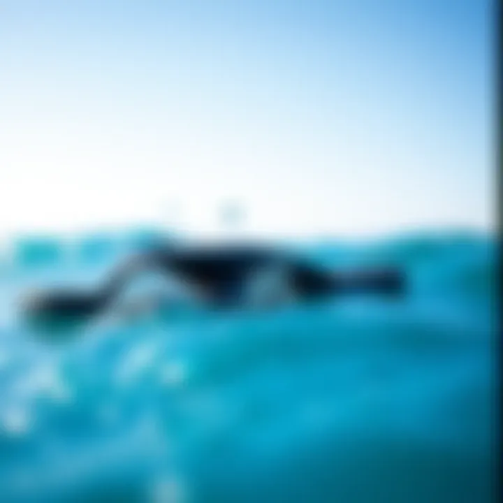 Reef One Flip Flops: A Comprehensive Review Summary