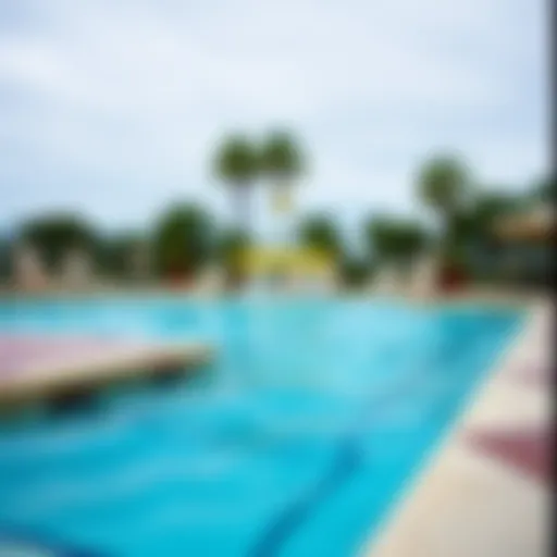 Saltwater vs Freshwater Pool Systems Comparison of saltwater and freshwater pool systems