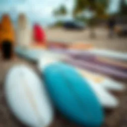 Different types of surfboards displayed on a sandy beach