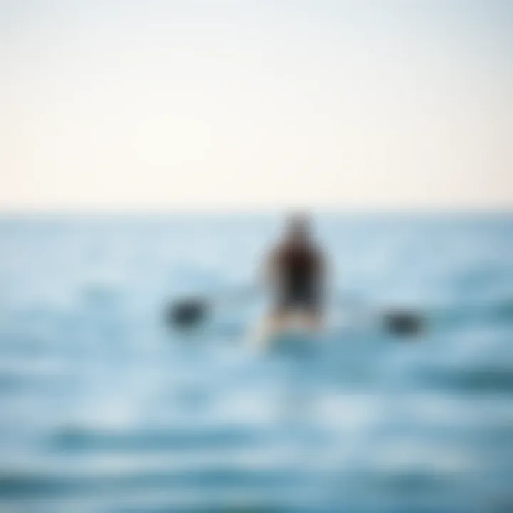 Paddle Boarding in Calm Waters Paddle boarder navigating through calm waters