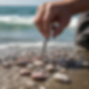 A close-up of bait being prepared for surf fishing