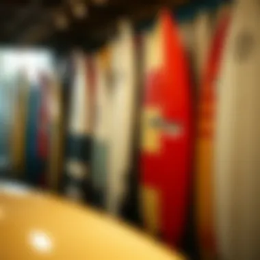 Collection of Lost Surfboards A collection of lost surfboards displayed in a surf shop, highlighting stories and memories attached to each board