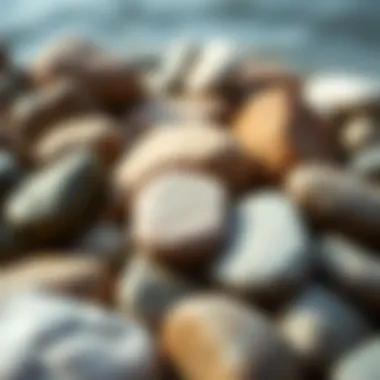Choosing the Perfect Skipping Stones An array of rounded stones selected for skipping showcasing various textures