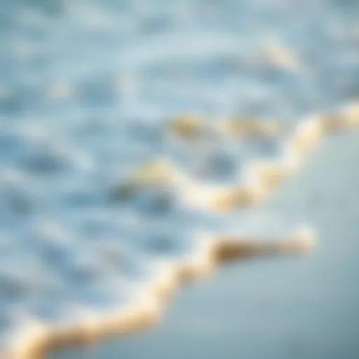 The Calming Sound of Ocean Waves Gentle ocean waves lapping against a sandy shore